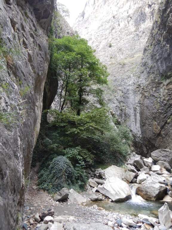 Ferrata dell'Orrido di Foresto - foto 12