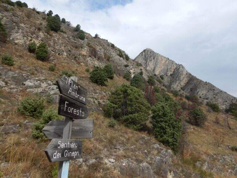 Ferrata dell'Orrido di Foresto - foto 45