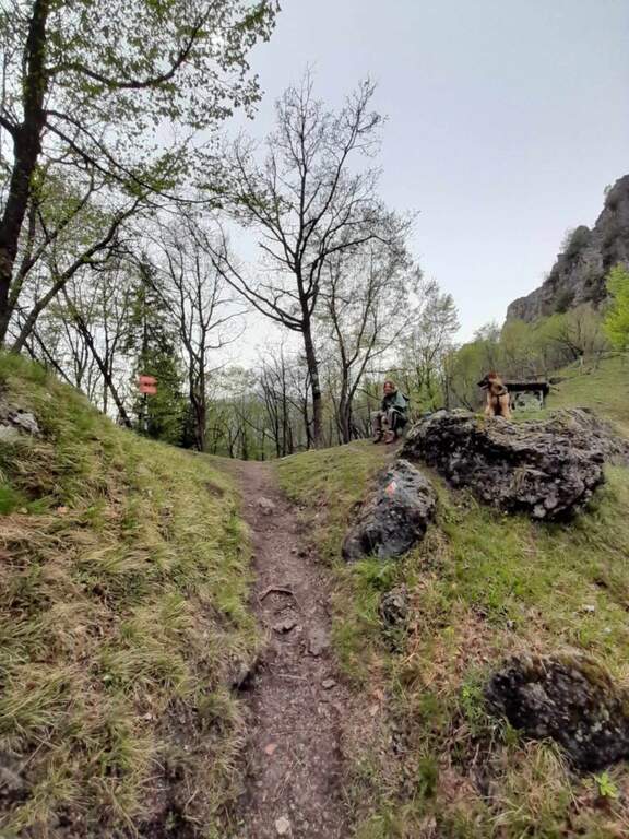 Ferrata della Corna Pedezzina - foto 9