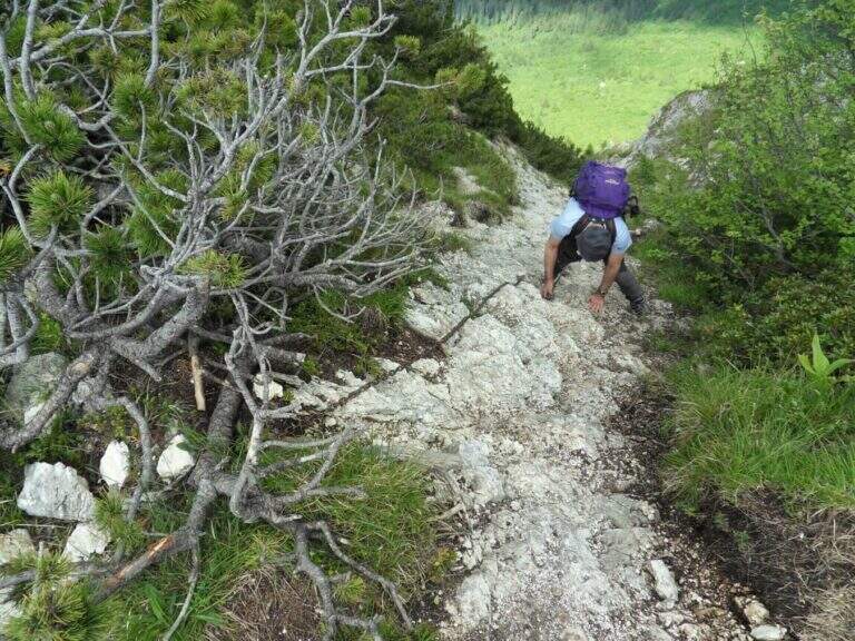 Ferrata al Pizzo Badile Camuno - foto 8