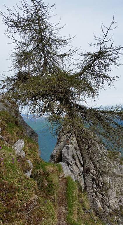 Ferrata al Pizzo Badile Camuno - foto 29