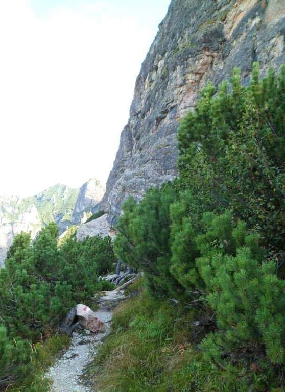 Sentiero Attrezzato Pojesi al Carega - foto 10