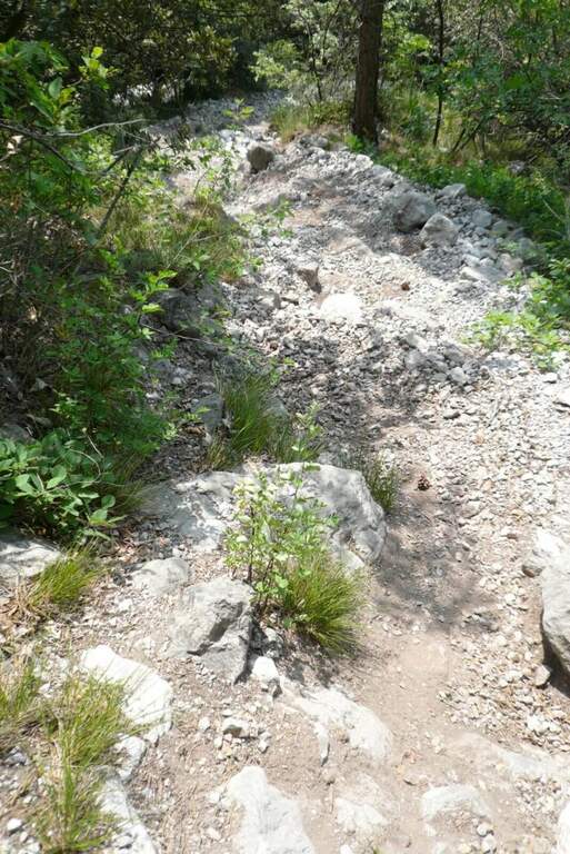 Ferrata Rino Pisetta alla Cima Garzolet (Sarche) - foto 8
