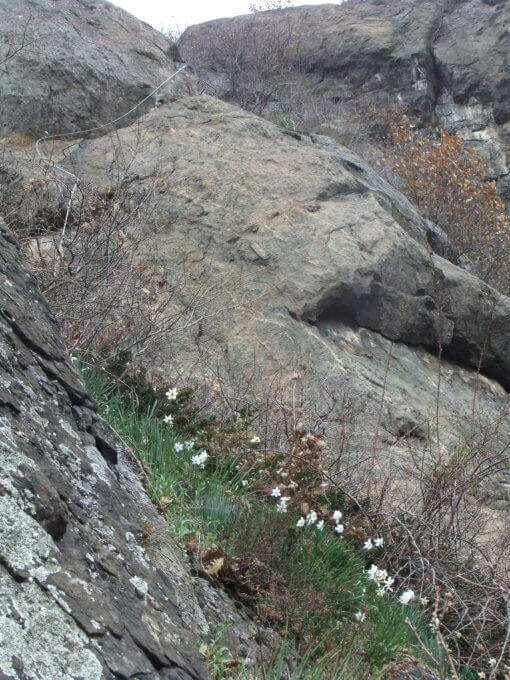 Ferrata Guido Rossa a Caprie (Rocca Bianca) - foto 34