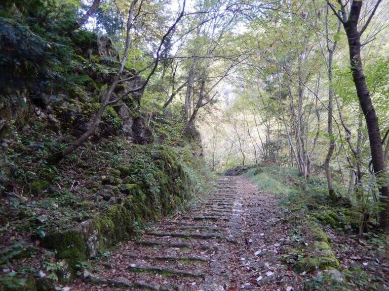 Ferrata Santa Felicita (Bassano del Grappa) - foto 6