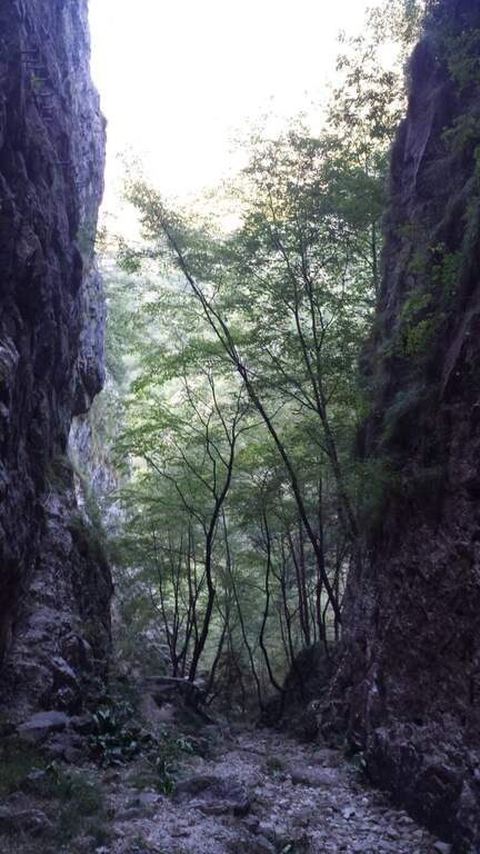 Ferrata Santa Felicita (Bassano del Grappa) - foto 17