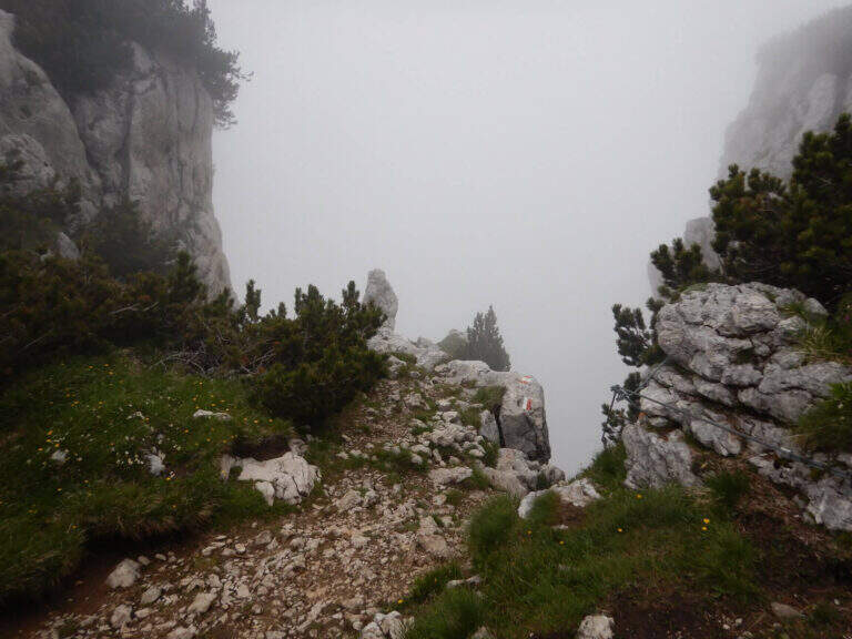 Ferrata Giulio Segata al Dos d'Abramo - foto 30