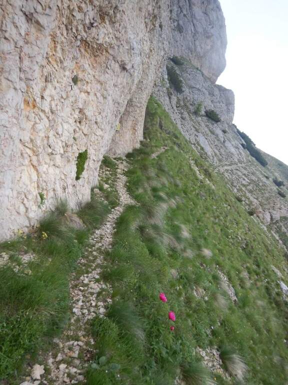 Ferrata Giulio Segata al Dos d'Abramo - foto 8