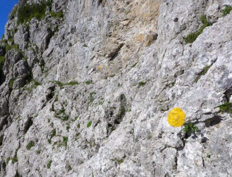 Ferrata Stella Alpina all'Agner - foto 20