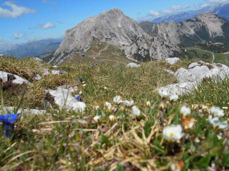 Ferrata dell'Amicizia alla Torre Clampil - foto 17