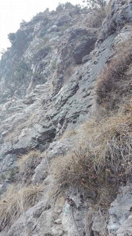 Ferrata Tramuntin al Monte Rest - foto 5