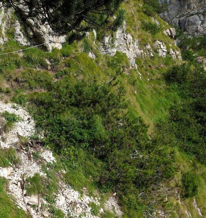 Ferrata del Vajo Scuro e variante Lontelovare - foto 29
