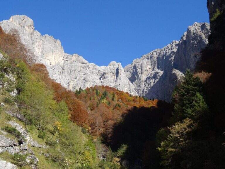 Ferrata Zacchi allo Schiara - foto 56