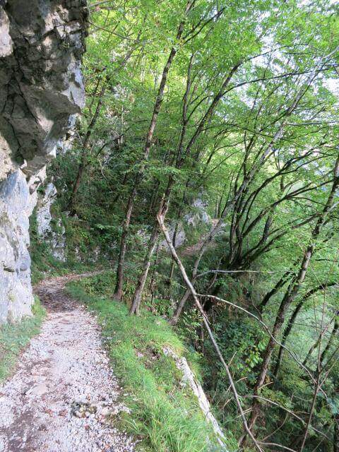 Ferrata Zacchi allo Schiara - foto 5