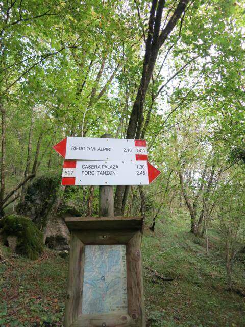 Sentiero Attrezzato Marino Guardiano – Monte Pelf - foto 8