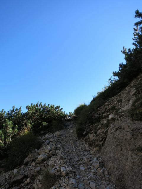Ferrata Piero Rossi alla Forcella Marmol - foto 28
