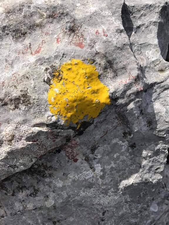 Ferrata degli Alpini allo Zuc della Guardia - foto 19