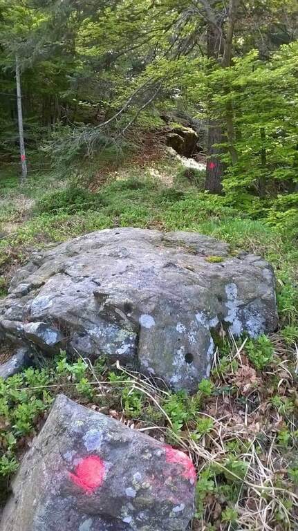 Ferrata Corna delle Capre - foto 27
