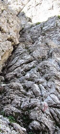 Ferrata dell'Orsa (Sentiero del Dottor) - foto 12