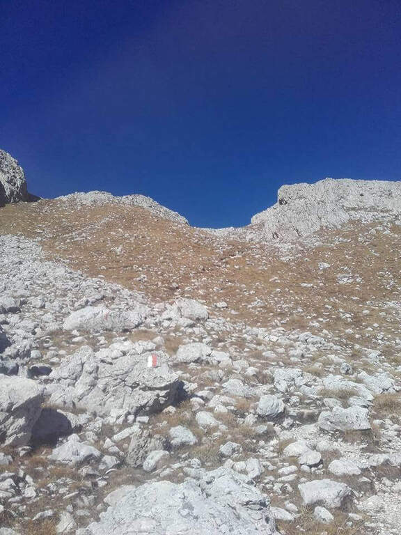Ferrata dell'Orsa (Sentiero del Dottor) - foto 30