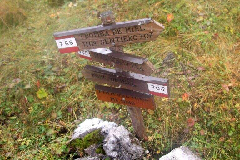 Ferrata dell'Orsa (Sentiero del Dottor) - foto 31