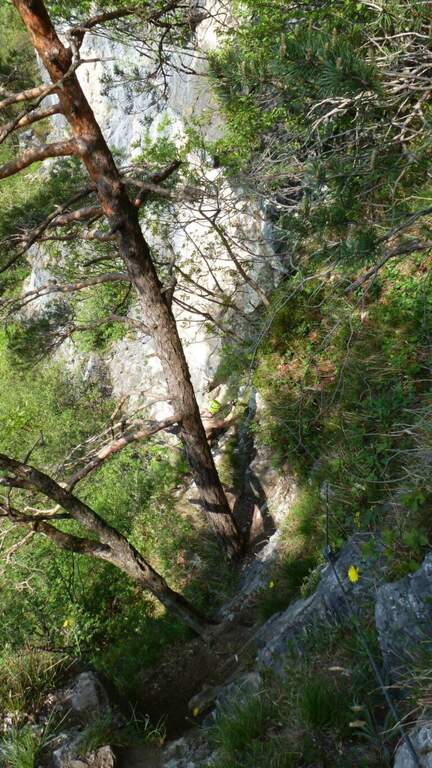 Ferrata di Preore (Giro Artpinistico delle Niere) - foto 18