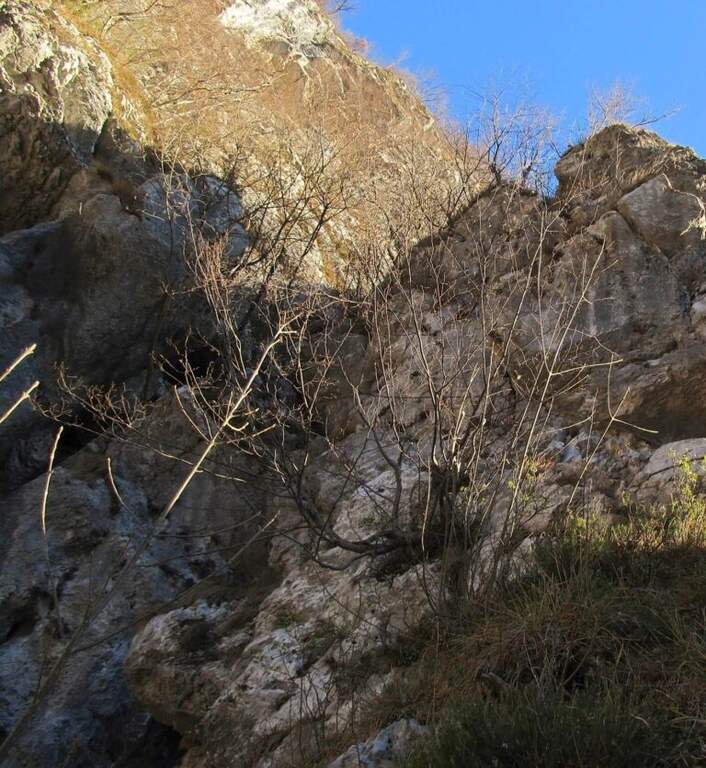 Ferrata Parete dei Falchi - foto 25