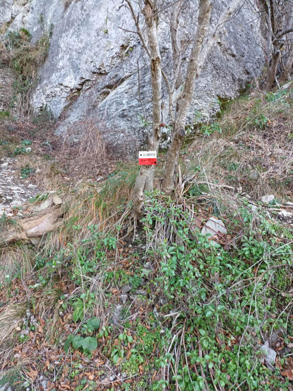 Ferrata Orto del Mandorlo (Pietra di Bismantova) - foto 14