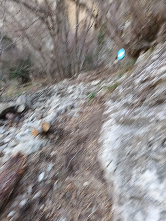 Ferrata Orto del Mandorlo (Pietra di Bismantova) - foto 46