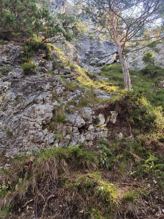 Ferrata dei Caprioli - San Vito di Cadore - foto 7