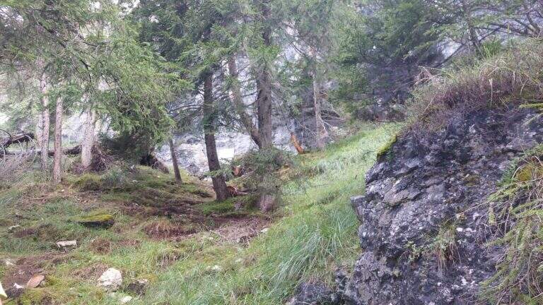 Ferrata dei Caprioli - San Vito di Cadore - foto 6