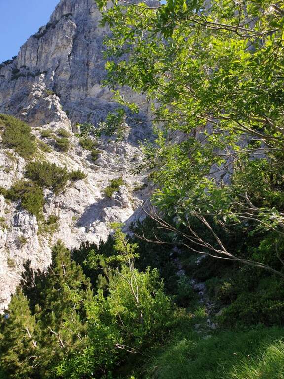 Sentiero Attrezzato Baglioni – Pasubio - foto 15
