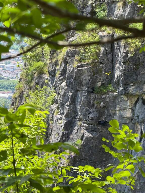 Ferrata di Preore (Giro Artpinistico delle Niere) - foto 28