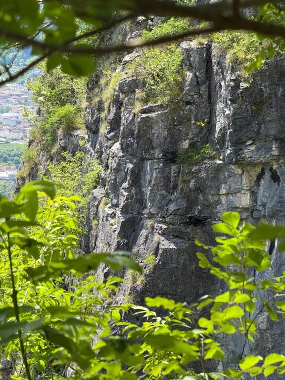 Ferrata di Preore (Giro Artpinistico delle Niere) - foto 27