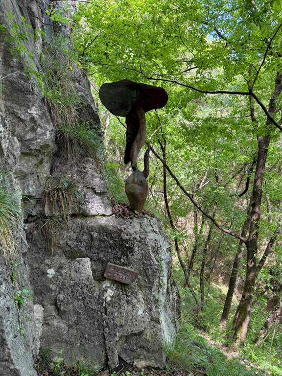 Ferrata di Preore (Giro Artpinistico delle Niere) - foto 23