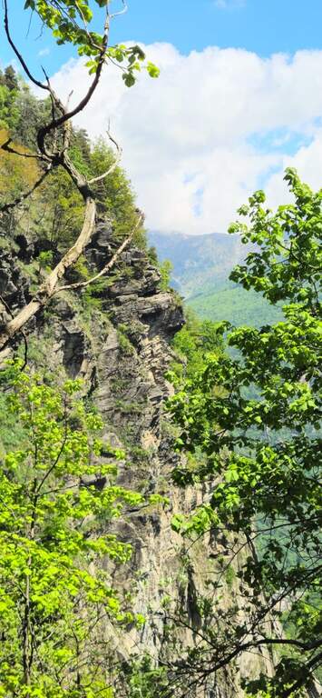 Ferrata Ciardelli (Bourcet) - foto 32