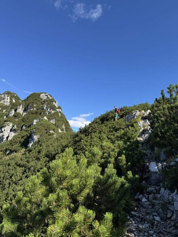 Sentiero Attrezzato Falcipieri - foto 50