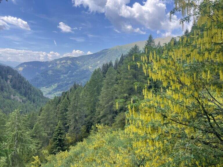 Ferrata della Miniera dell'Erdemolo - foto 22
