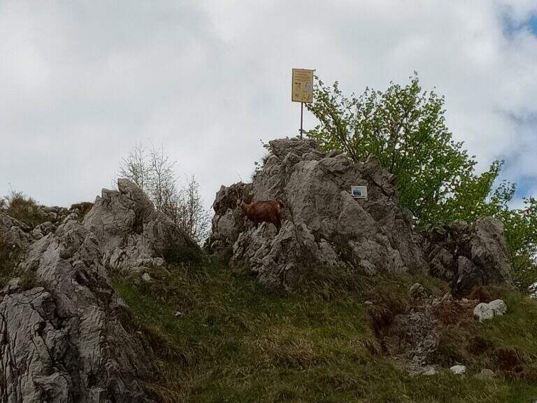Sentiero Attrezzato della Cresta Giumenta al Monte Magnodeno - foto 28