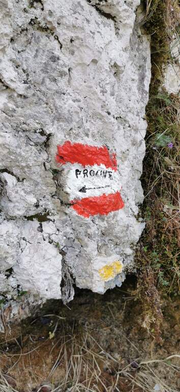 Ferrata del Procinto (Aristide Bruni) - foto 17