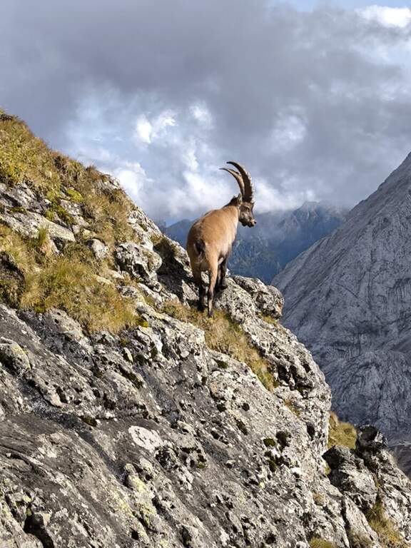 Ferrata delle Trincee al Padon - foto 59