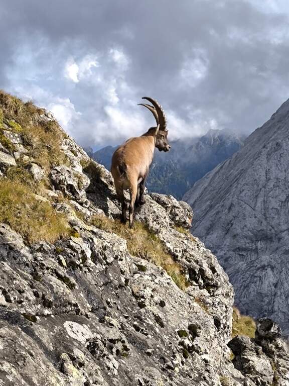 Ferrata Roda di Vael (Catinaccio) - foto 12