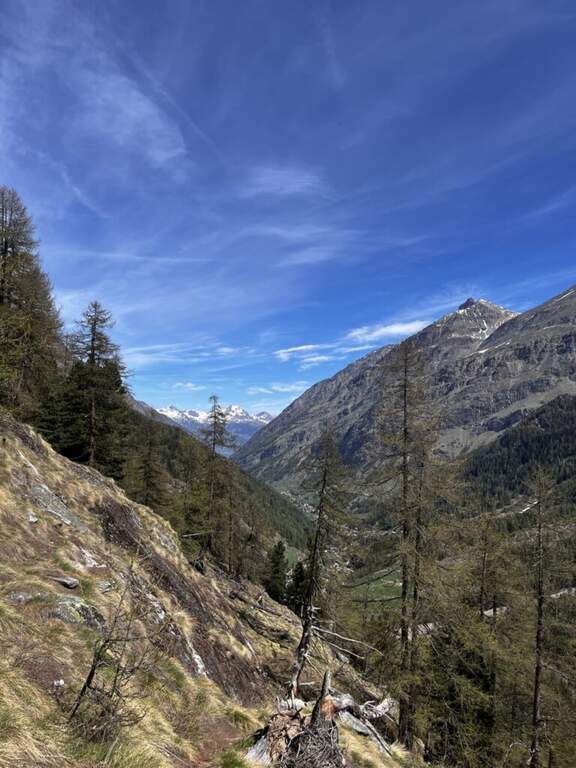 Ferrata La Voie du Paradis - foto 14