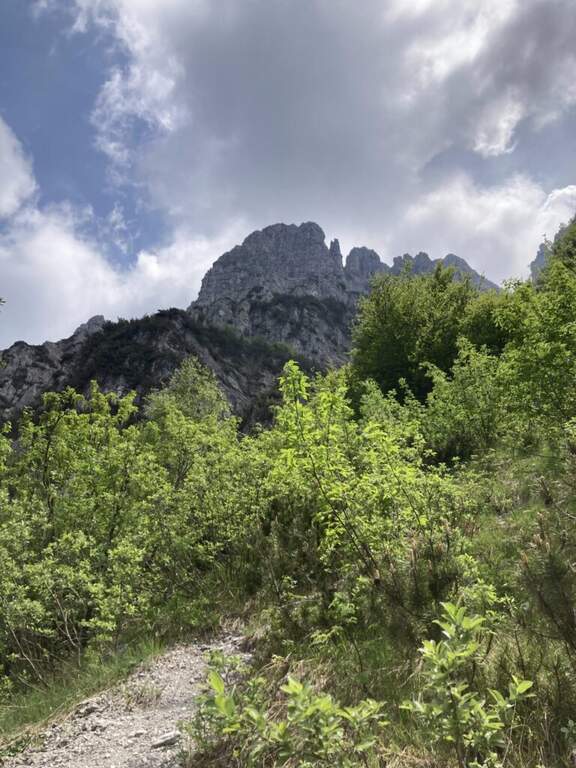Ferrata Maurizio all'Alben - foto 26