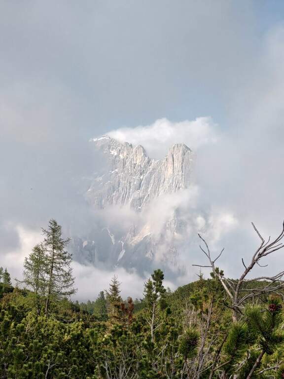 Ferrata Fiamme Gialle alla Palazza Alta - foto 23