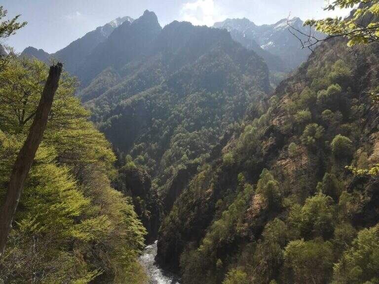 Ferrata Selvaggio Verde (Val Grande) - foto 17