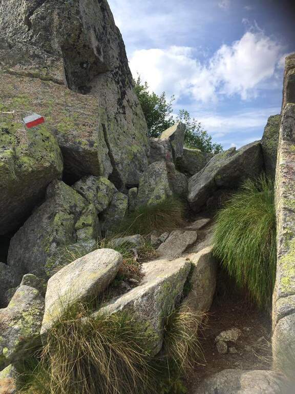 Sentiero Attrezzato Bozzetti al Monte Zeledria - foto 11