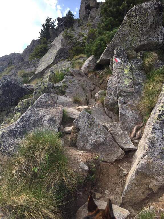 Sentiero Attrezzato Bozzetti al Monte Zeledria - foto 10