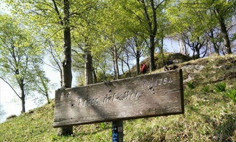 Sentiero Attrezzato della Cresta Giumenta al Monte Magnodeno - foto 19