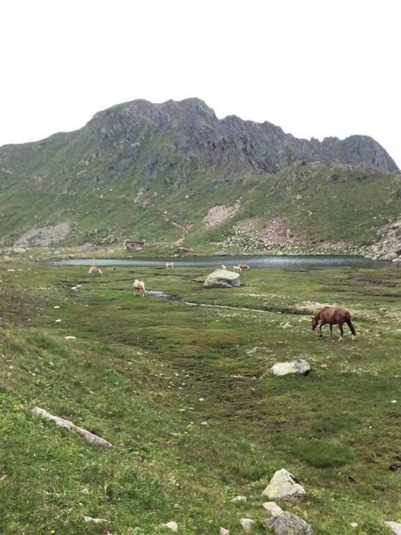 Sentiero Attrezzato del Gronton a Cima Bocche - foto 17